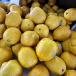 Lemons farmers market Gap, PA