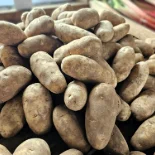 Potatoes farmers market Gap, PA
