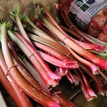Rhubarb farmers market Gap, PA